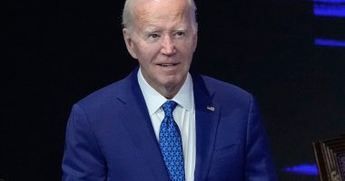 Democrats discuss Biden’s fitness as 7th lawmaker calls on him to quit race | Politics News