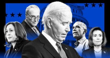 Democrats in disarray over Biden: ‘We’re totally, totally screwed’