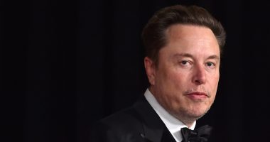 Elon Musk says he will move companies out of California over trans law | Business and Economy