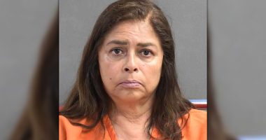 Florida grandmother arrested after leaving toddler in hot car at Publix