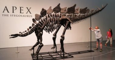 Ken Griffin buys stegosaurus named ‘Apex’ for record $44.6mn
