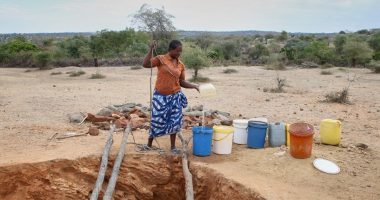 Meals dry up as Zimbabwe’s drought sets in | Drought News