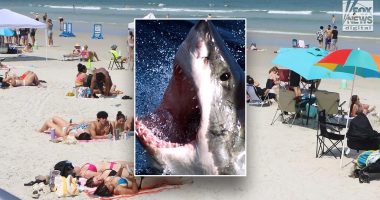 Ohio man playing football in knee-deep water bitten by shark at Florida beach