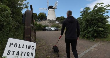 Photos: The dogs of UK election day | Elections News