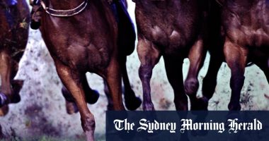 Race-by-race preview and tips for Friday’s meeting at Goulburn