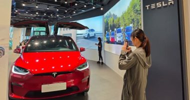 Tesla cars put on local Chinese government’s purchase list for first time