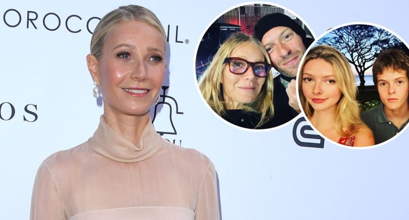 Who Are Gwyneth Paltrow's Kids? Meet Apple and Moses Martin